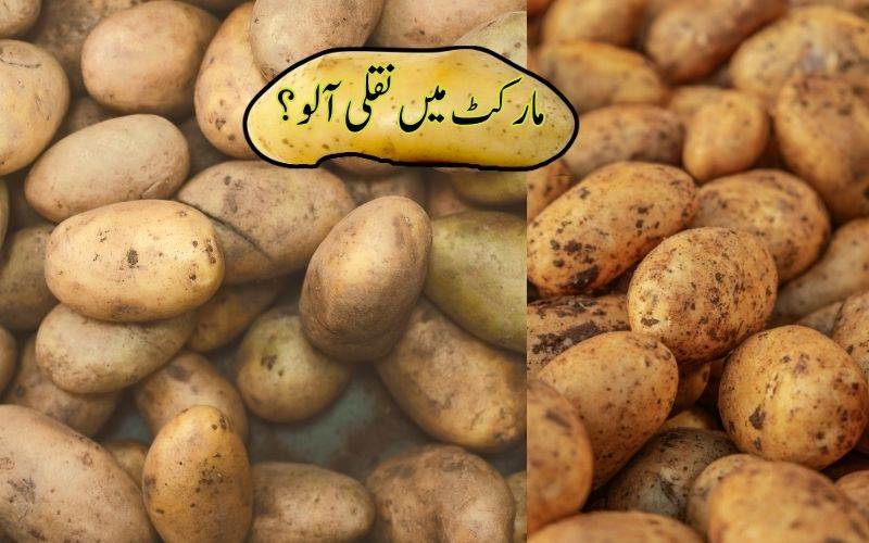 بازار میں نقلی آلو کا انکشاف: کیسے کریں نقلی آلو کی پہچان؟